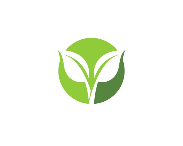grünes Blatt Ökologie Natur Element Vektor-Icons vektor