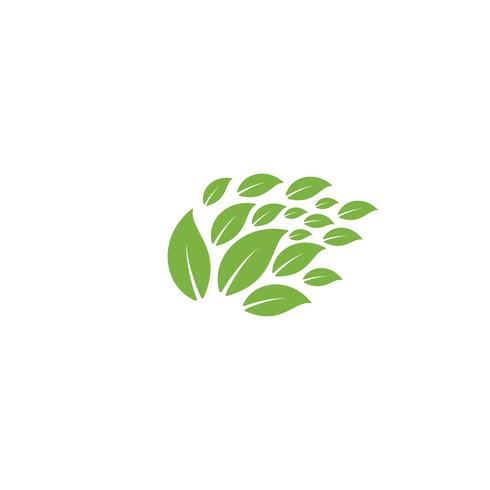 Natur Blatt Logo Design Vektor Illustration Icon-Element
