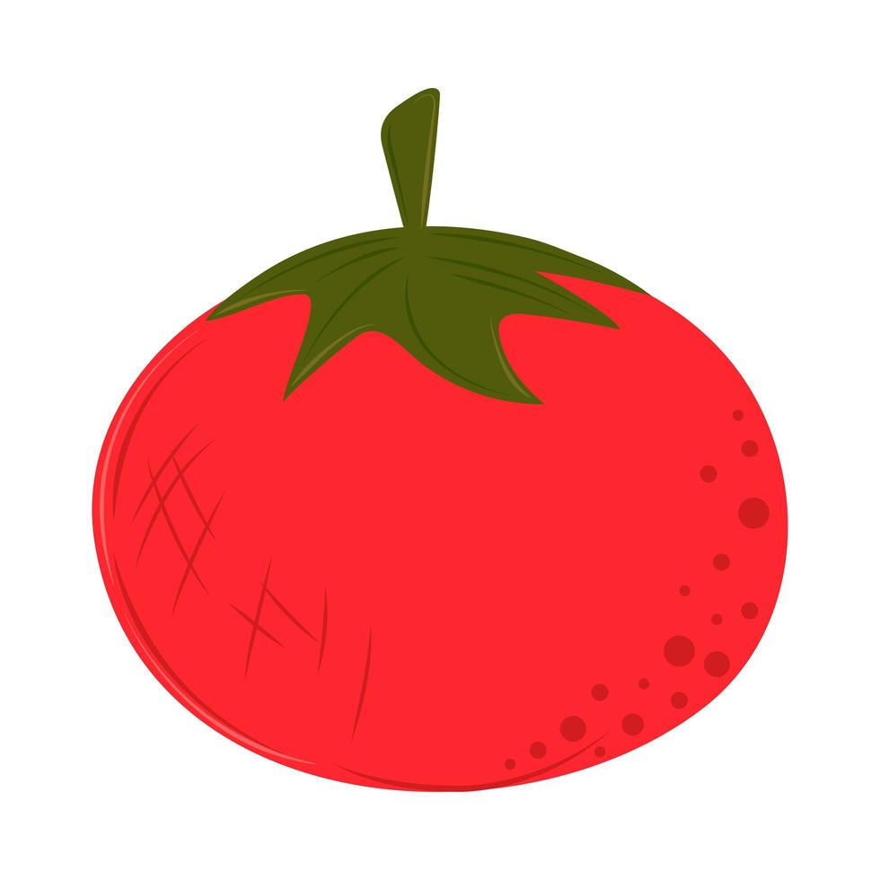 tomat färsk ikon vektor