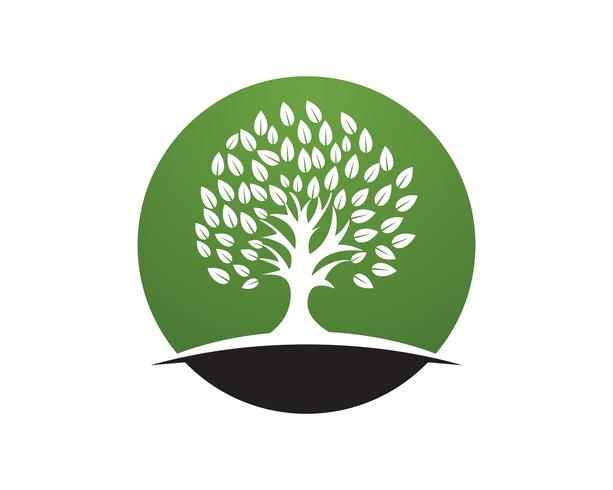 Personalausweisvektor-Logoschablone der grünen Leute des Baums vektor
