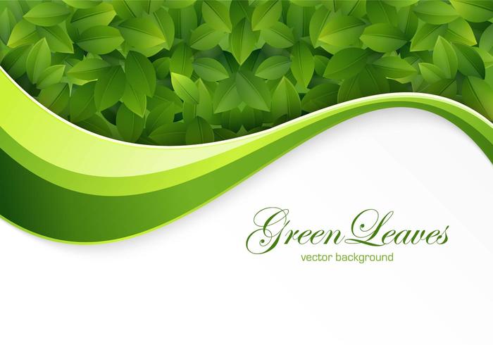Grün Blätter Hintergrund Vektor