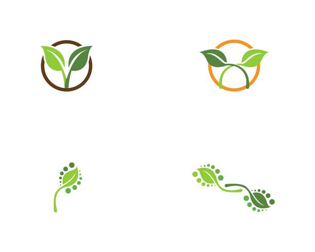 grünes Blatt Ökologie Natur Element Vektor-Icons vektor