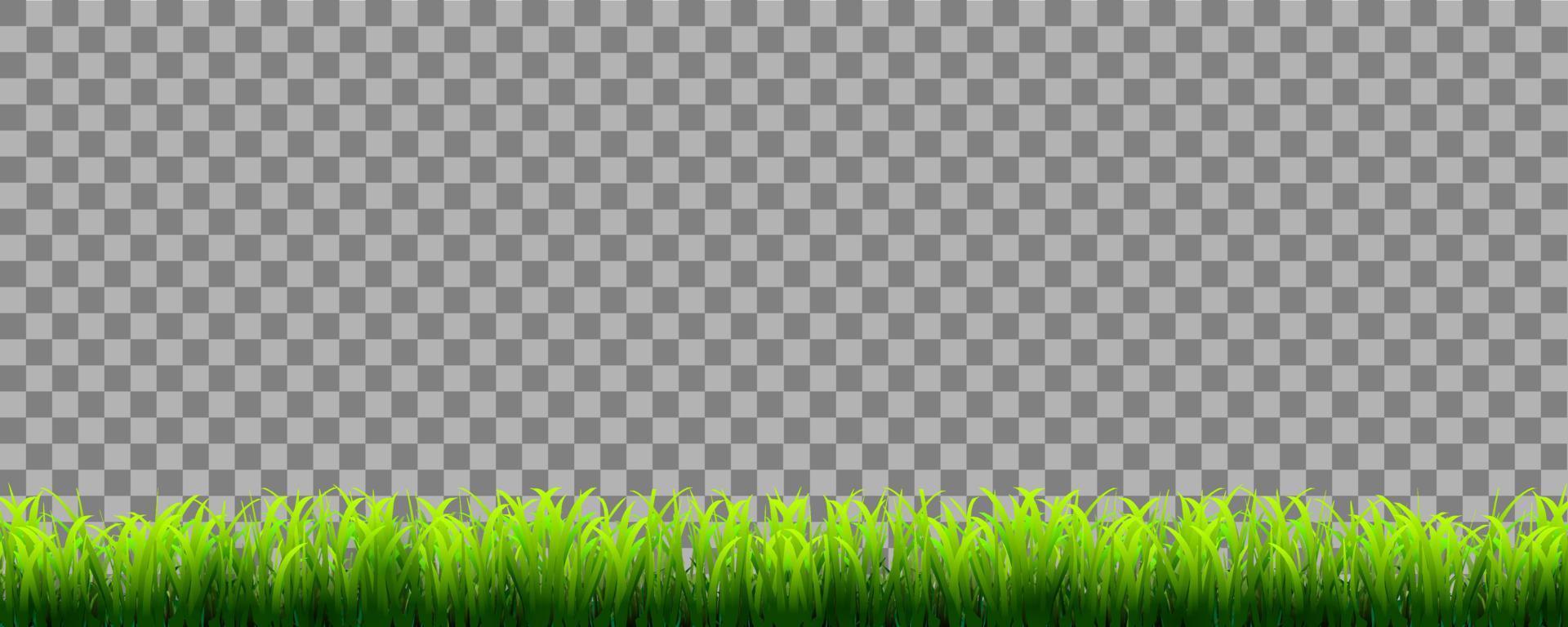 grönt realistiskt gräs gränsen isolerad på transparent bakgrund vektor