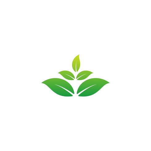 Natur Blatt Logo Design Vektor Illustration Icon-Element