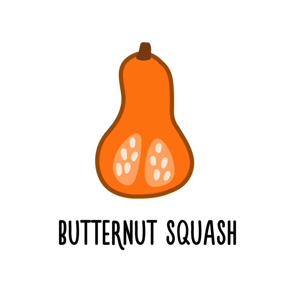 Das Butternut-Kürbis-Vektorsymbol ist auf einem weißen Hintergrund isoliert. einfache moderne flache illustration. vektor