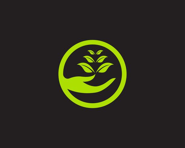 Blattökologie-Naturelement-Vektorikone der Logos grüne vektor