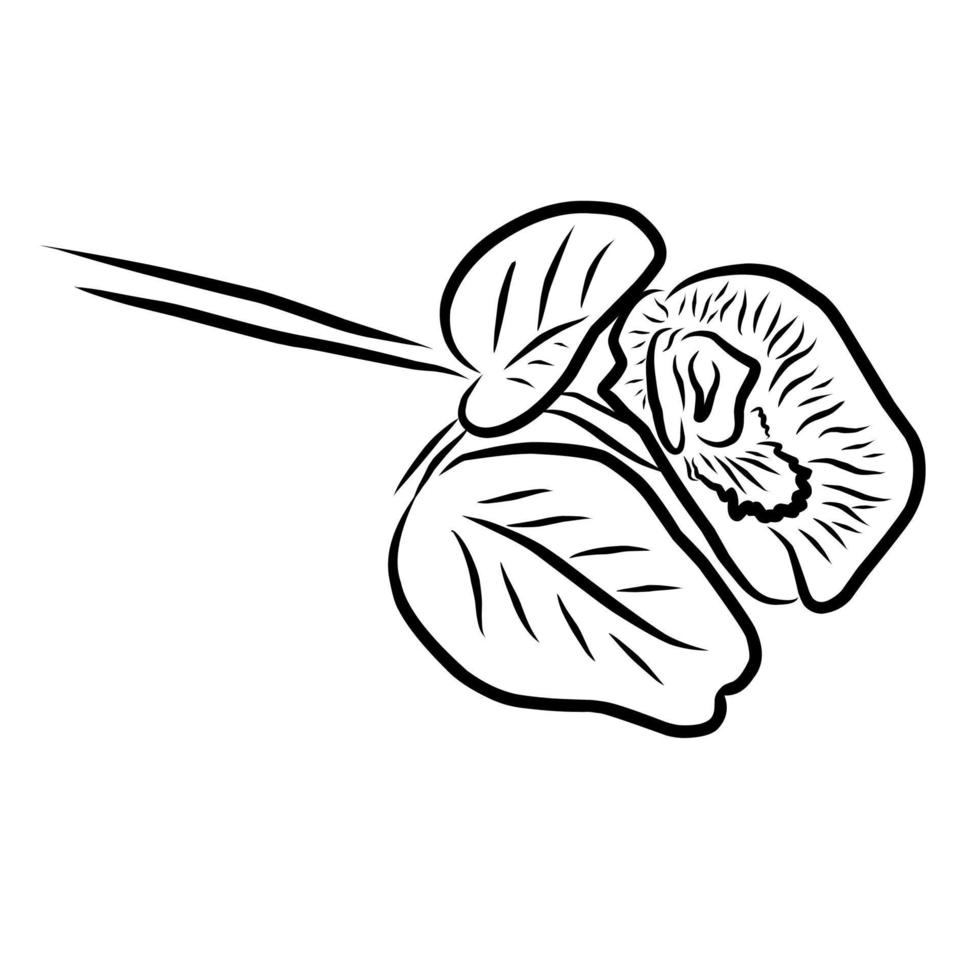 Blumenillustration im Linienstil vektor