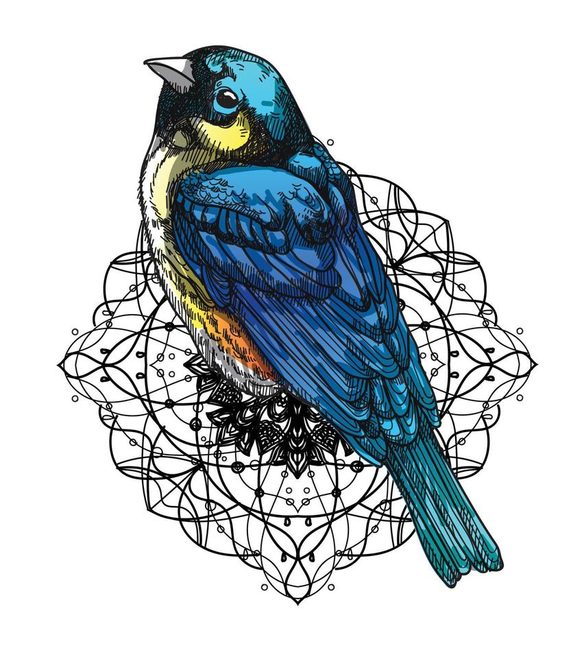 tatuering konst blå fågel hand ritning skiss svart och vitt vektor