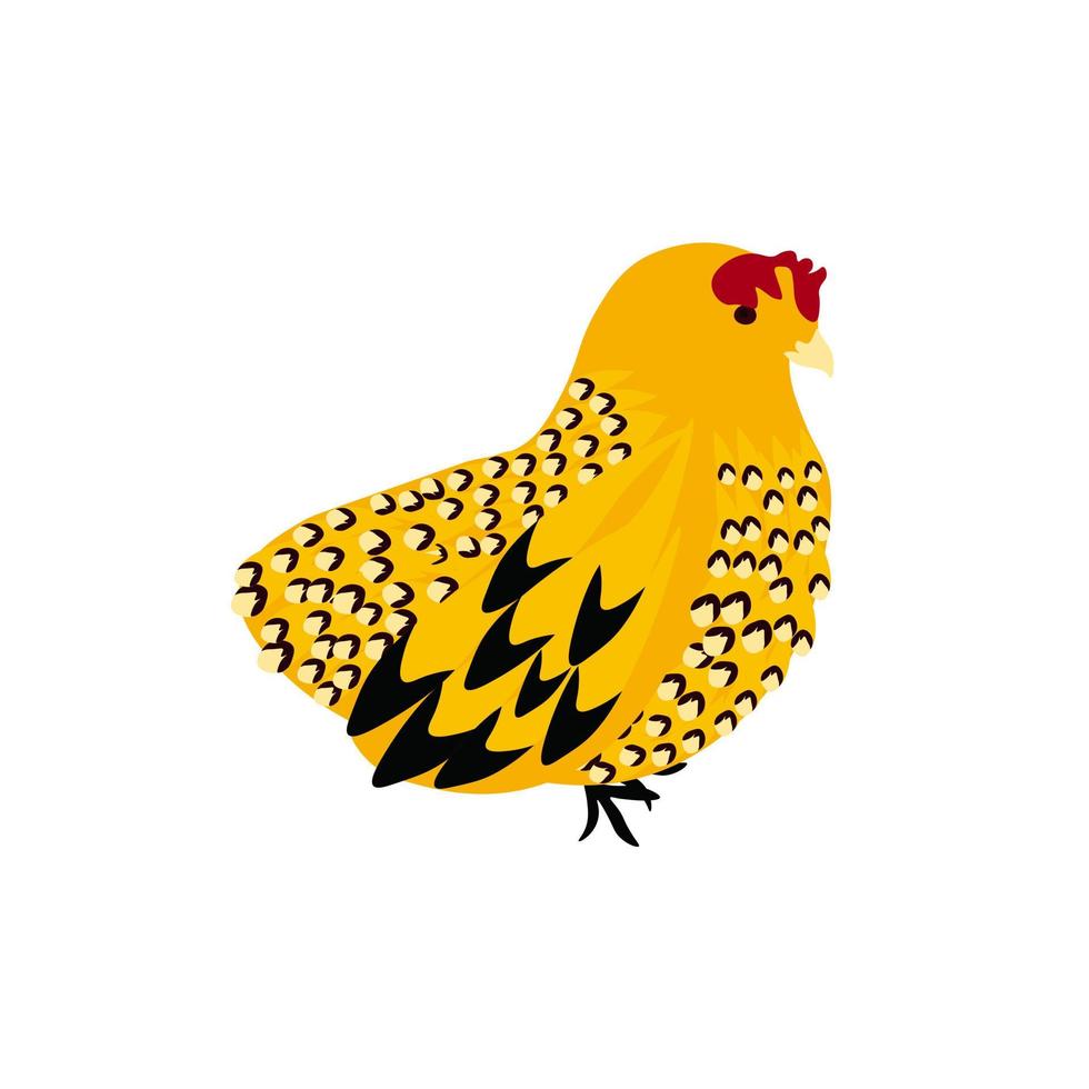 Huhn-Vektor-Lager-Illustration. der gelbe Hühnervogel. ein Haustier auf dem Bauernhof. isoliert auf weißem Hintergrund. vektor