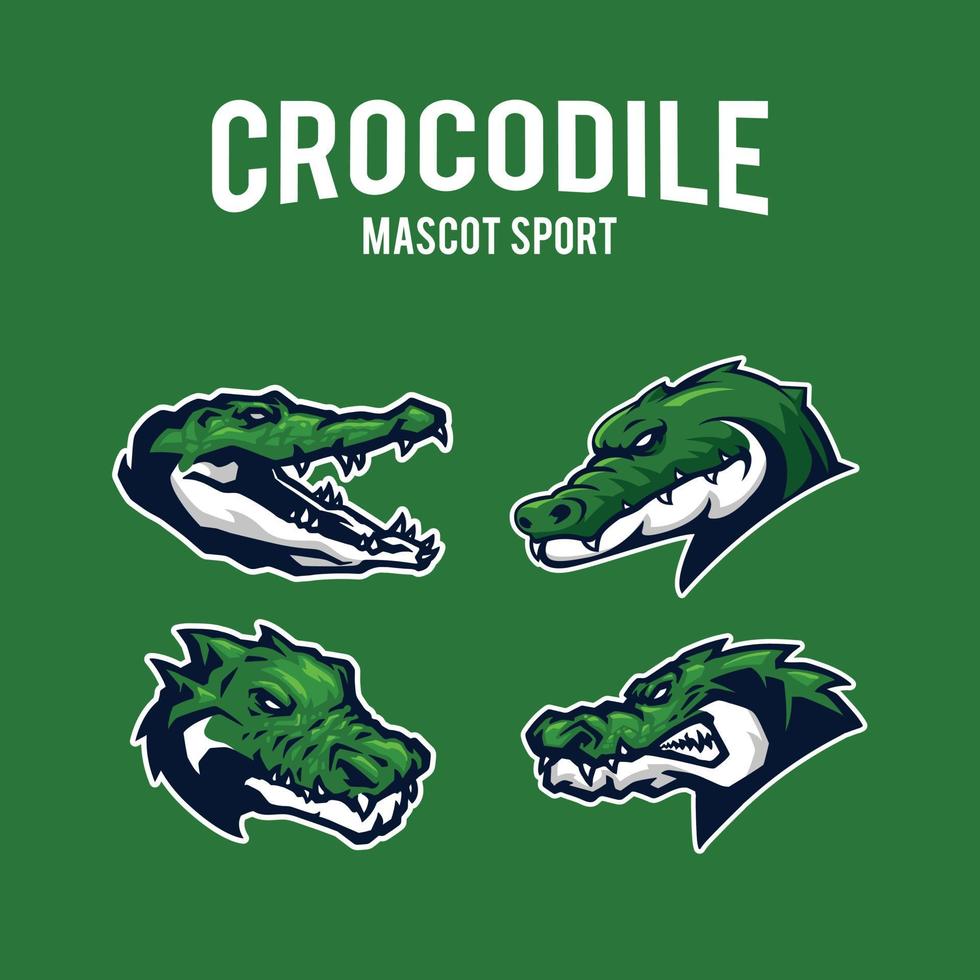 krokodil sport logotyp vektor