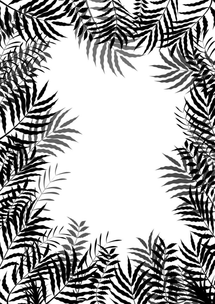 palmblad av ram bakgrund av siluett vektor