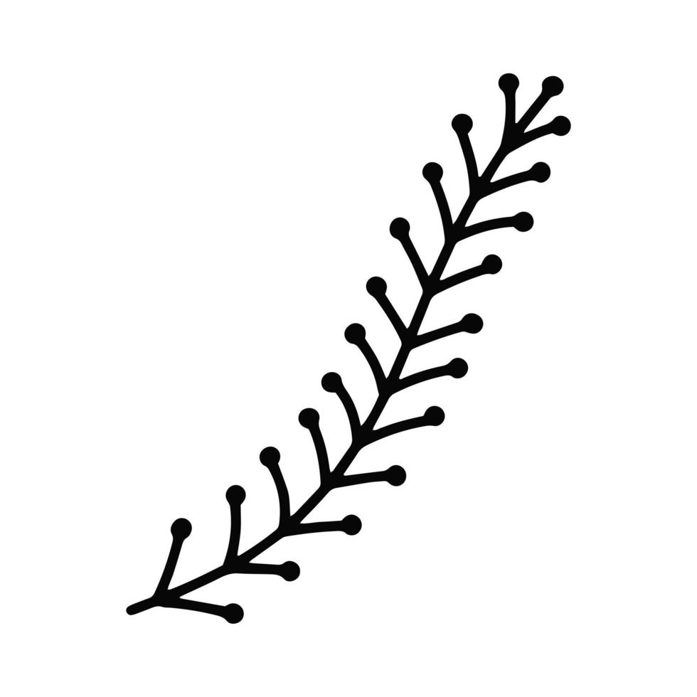 Vektor-Doodle-Lineart-Pflanzenzweig isoliert. vektor