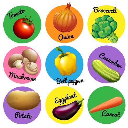 Färsk grönsak i runda märken vektor
