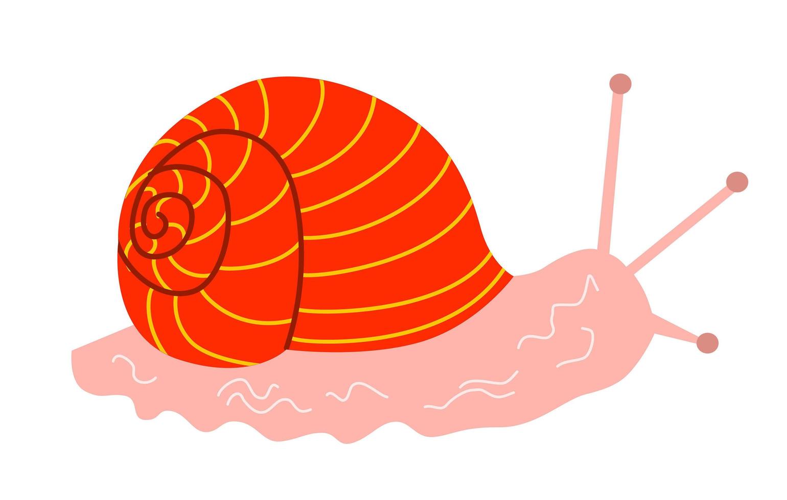 vektorillustration einer roten schnecke in einem flachen stil vektor