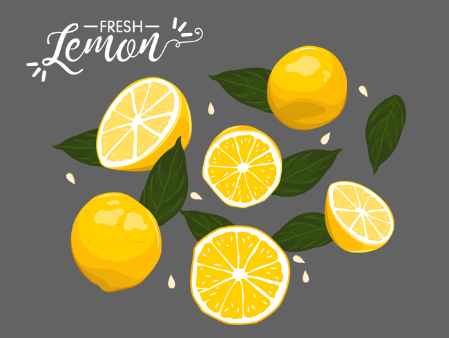 sommar färska citron vektor element