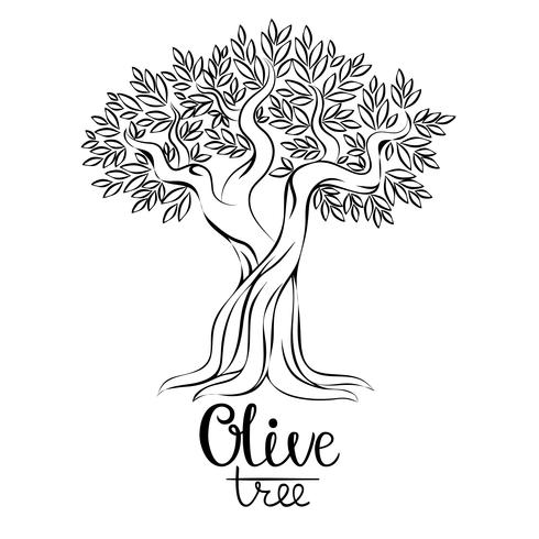 Olivenbaum-Vektor-Illustration. Olivenöl. Vektorolivenbaum für Kennsätze, Satz. vektor