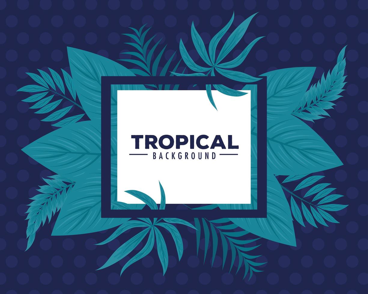 tropisk bakgrund, fyrkantig ram med grenar och tropiska löv vektor