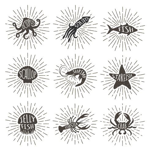 Satz gezeichnete Seetiere der Weinlese Hand mit Sonnenstrahlen. Meeresfrüchteikonen auf Sonnendurchbruchhintergrund. vektor