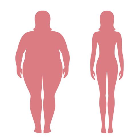 Vektorillustration von fetten und dünnen Frauenschattenbildern. Gewichtverlustkonzept, vorher und nachher. Übergewichtiger und normaler weiblicher Körper. vektor