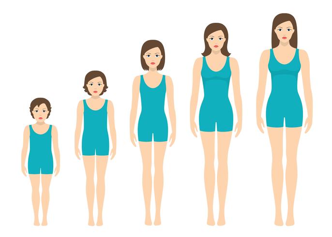 Die Körperproportionen von Frauen ändern sich mit dem Alter. Körperwachstumsstadien des Mädchens. vektor