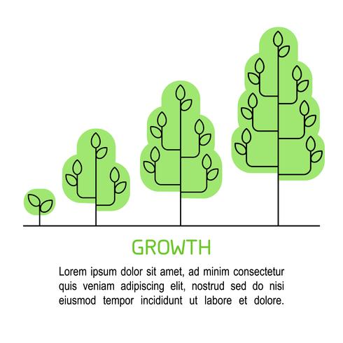 Baum wächst Prozess Infografiken. Wachstumskonzeptlinie Kunstikonen. vektor