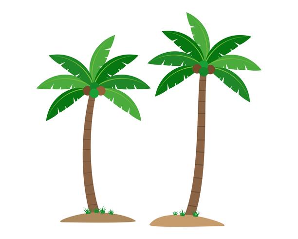 Die Kokosnusspalmen, die auf weißem Hintergrund lokalisiert werden - Vector Illustration