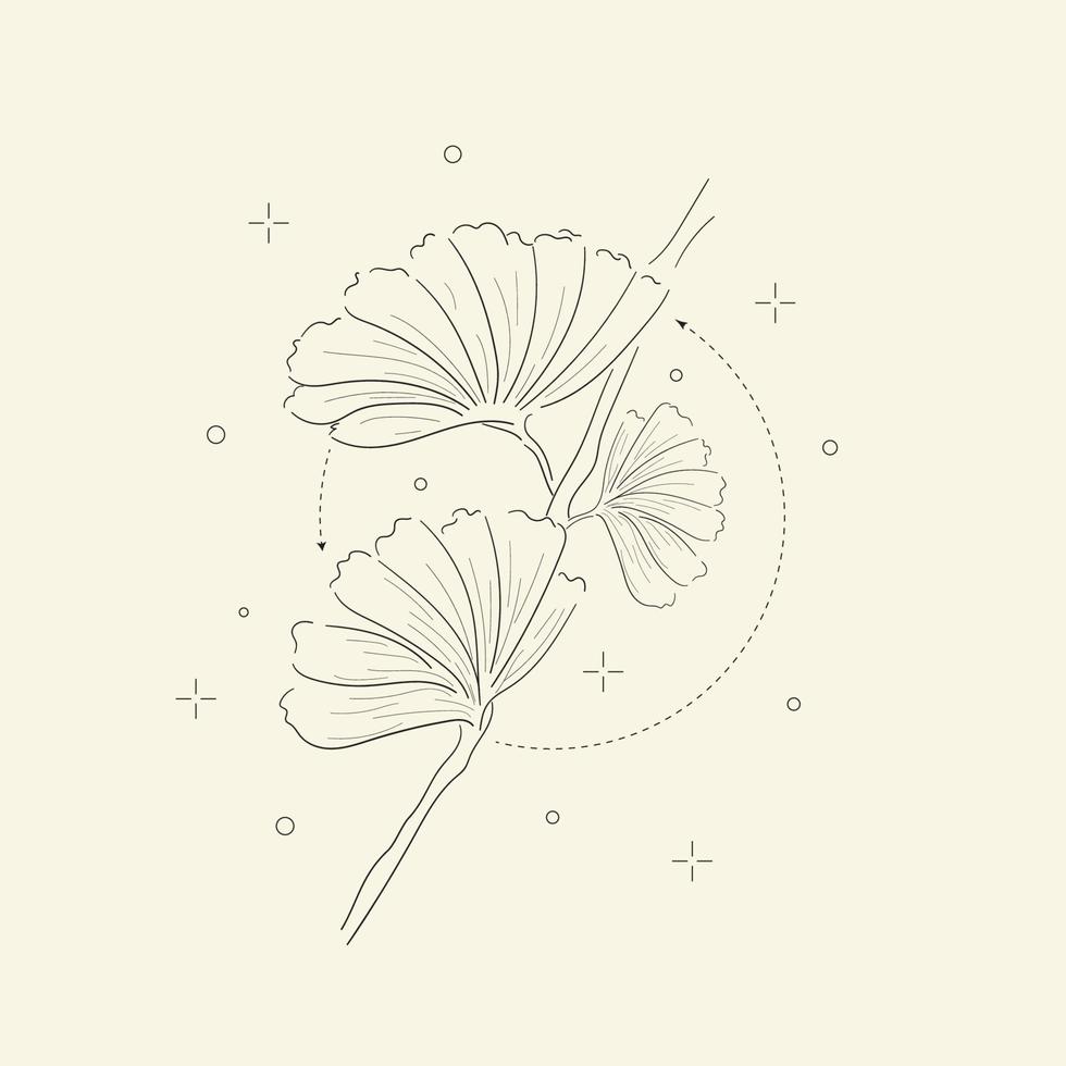 Vektor-Illustration Blume botanische Blume Blatt. isolierter Hintergrund vektor