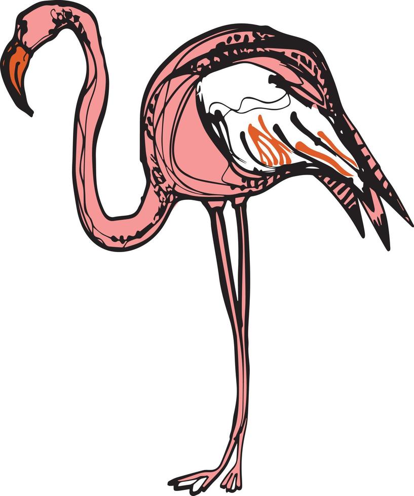 rosa flamingos. set med flamingos. exotiska fåglar. lager vektorillustration med paradisfåglar. vektor