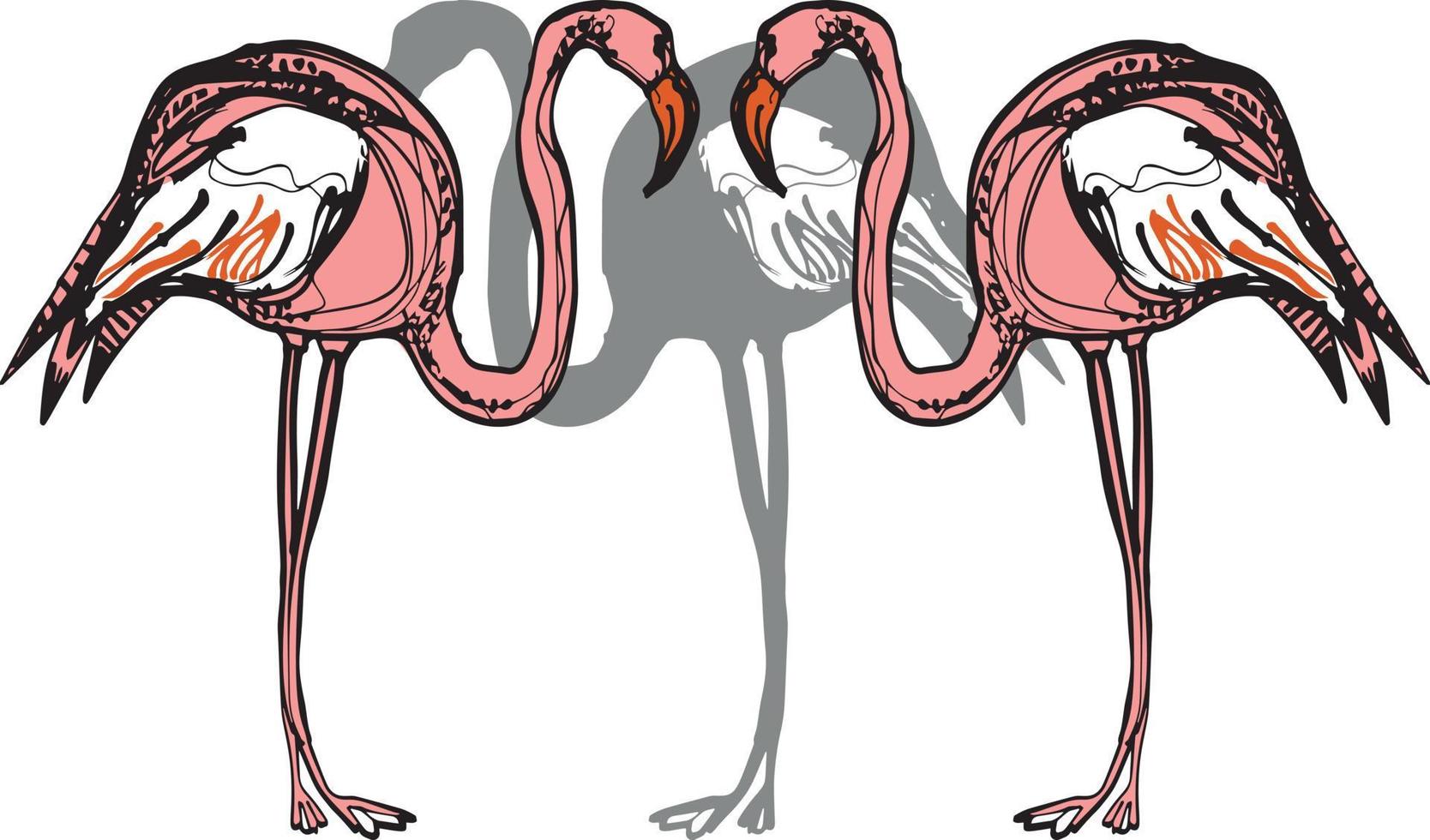 rosa Flamingos. Set mit Flamingos. exotische Vögel. Aktienvektorillustration mit Paradiesvögeln. vektor