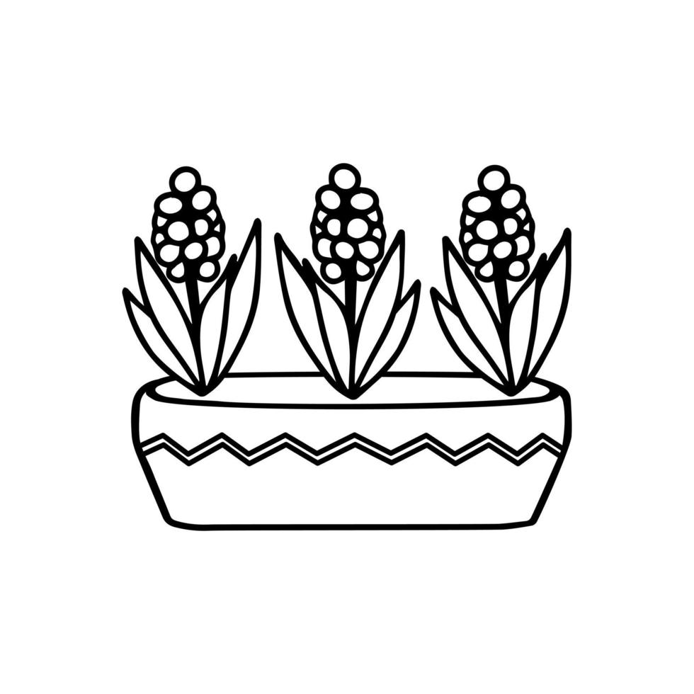 Topfblume Doodle handgezeichnete Umrisse Symbol oder Symbol. dekorative Topfpflanzenskizze. isolierte Vektorillustration vektor