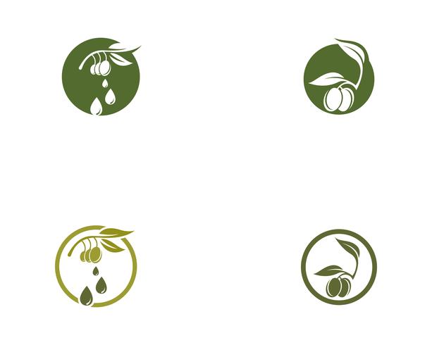 Olive Logo Vorlage Vektor Icon