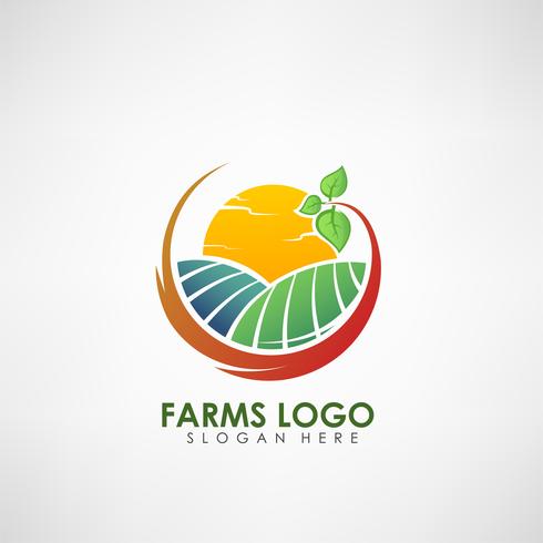 Bauernhof Konzept Logo Vorlage. Label für natürliche landwirtschaftliche Produkte. Vektor-illustration vektor