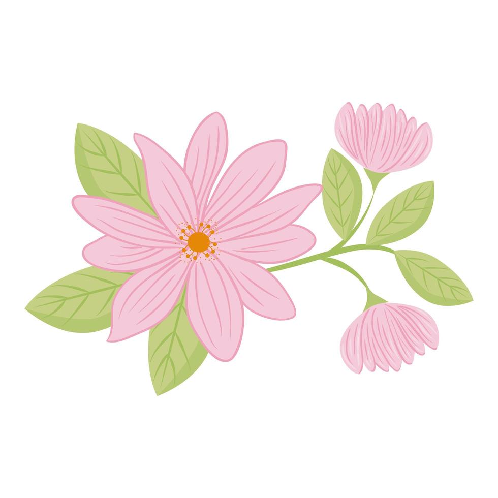 rosa Blumen mit Blattvektorentwurf vektor