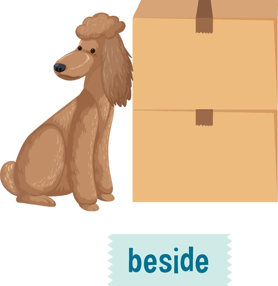 preposition av plats med tecknad hund och en låda vektor