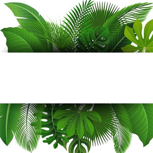 Signera med textutrymme av tropiska löv. Lämplig för naturkoncept, semester och sommarlov. Vektor illustration