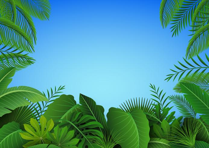 Bakgrund av tropiska löv. Lämplig för naturkoncept, semester och sommarlov. Vektor illustration