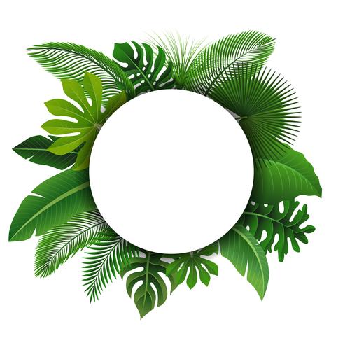 Rundes Zeichen mit Textraum von tropischen Blättern. Geeignet für Naturkonzept, Urlaub und Sommerurlaub. Vektor-Illustration vektor