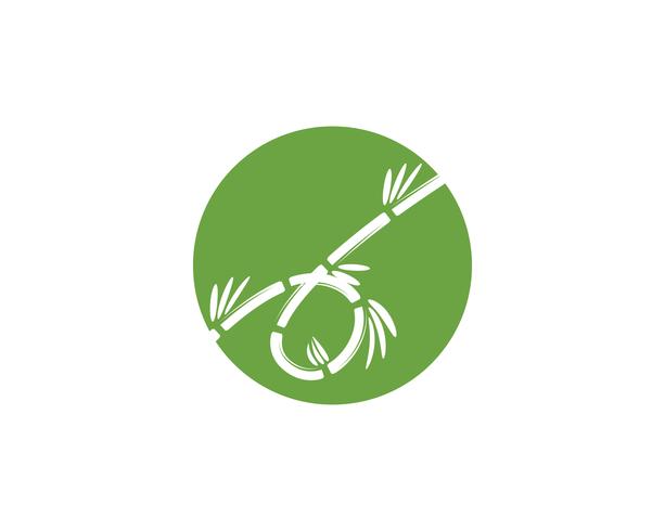 Bambu logo med grönt blad för din ikon vektor vektor mall