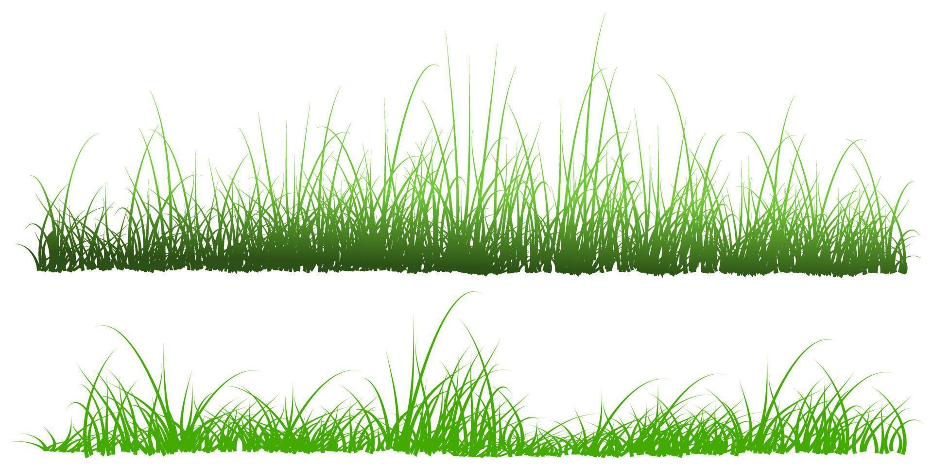vektor gräs som bakgrund isolerade