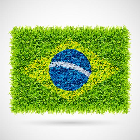 Brasilien Flagge Gras vektor