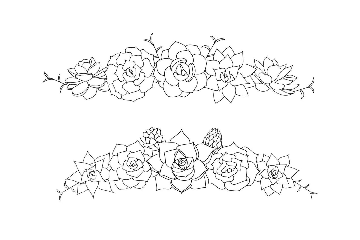 saftiger Echeveria-Vektorrahmen. hand gezeichnete wüstenblumenillustration im gekritzelstil. Stellen Sie Pflanzen mit schwarzem Umriss ein. Silhouette Sukkulenten auf weißem Hintergrund. Grenzsukkulenten zum Drucken vektor