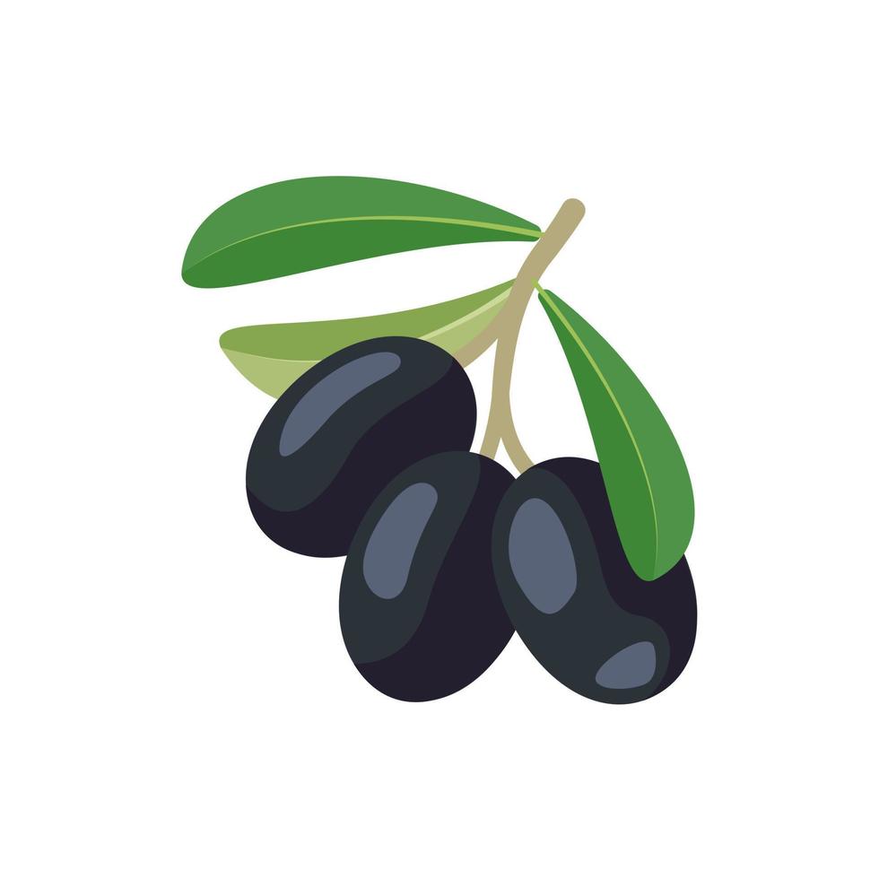 Zweig der schwarzen Oliven mit Früchten und Blättern. griechisches traditionelles essen. flache vektorillustration vektor