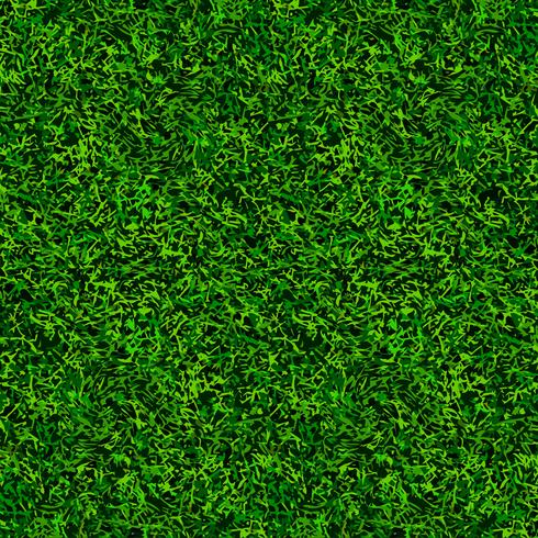 grüne Fußball Gras Textur vektor