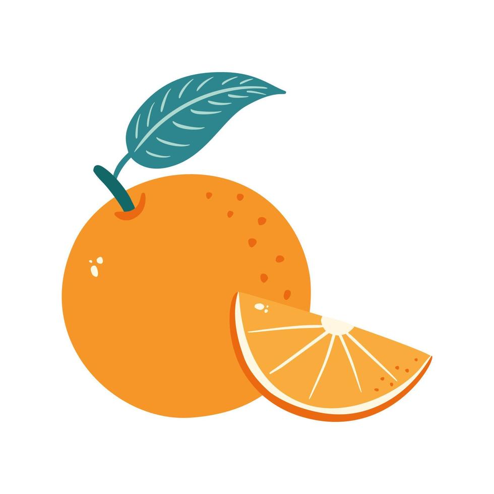 süße frische zitrusfrucht mit blatt lokalisierter vektorillustration. Cartoon-Stil. Scheibe und ganze saftige Orange vektor