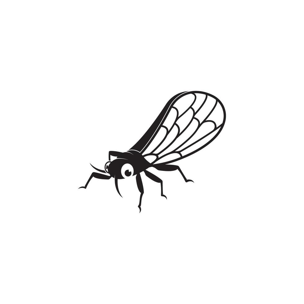 Cicada logotyp vektor ikon mall