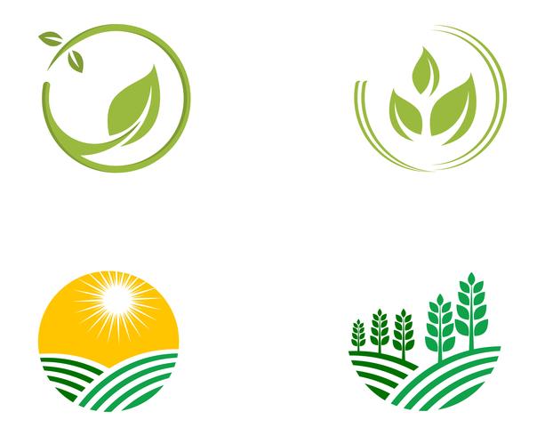 Jordbruksföretag logotyp mall unik grön vektor bild