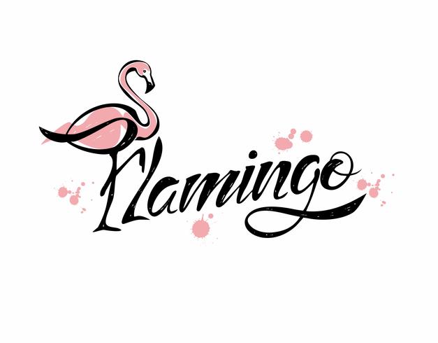 Flamingo. Beschriftung. Stilvolle Inschrift. Vektor. vektor