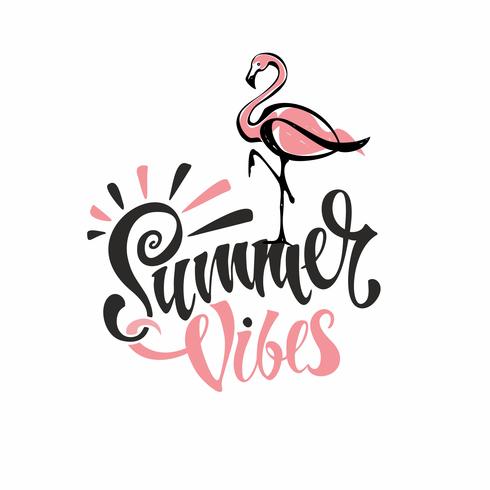 Sommarvibbar. Text. Flamingos är rosa. Inbjudan att lämna. Kort. Kalligrafi. Snygg inspirerande beskrivning. Vektor. vektor