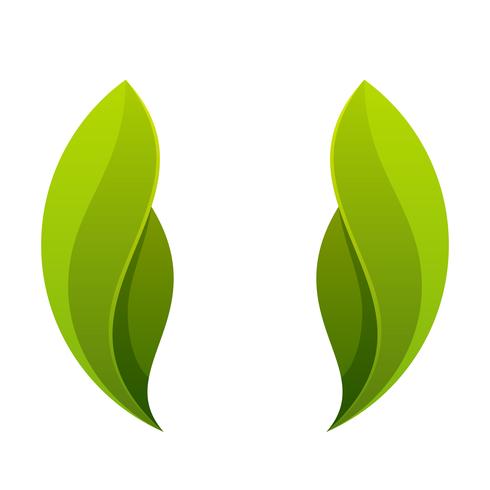 Grünes Blatt, Logo mit zwei Blättern, Ikone. vektor