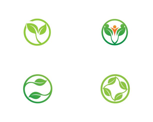 Logos des grünen Blattökologie-Naturelementvektors vektor